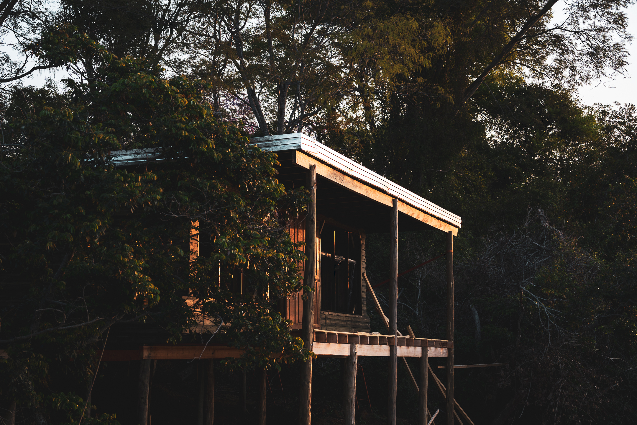 Timbó — arquitectura entre la naturaleza