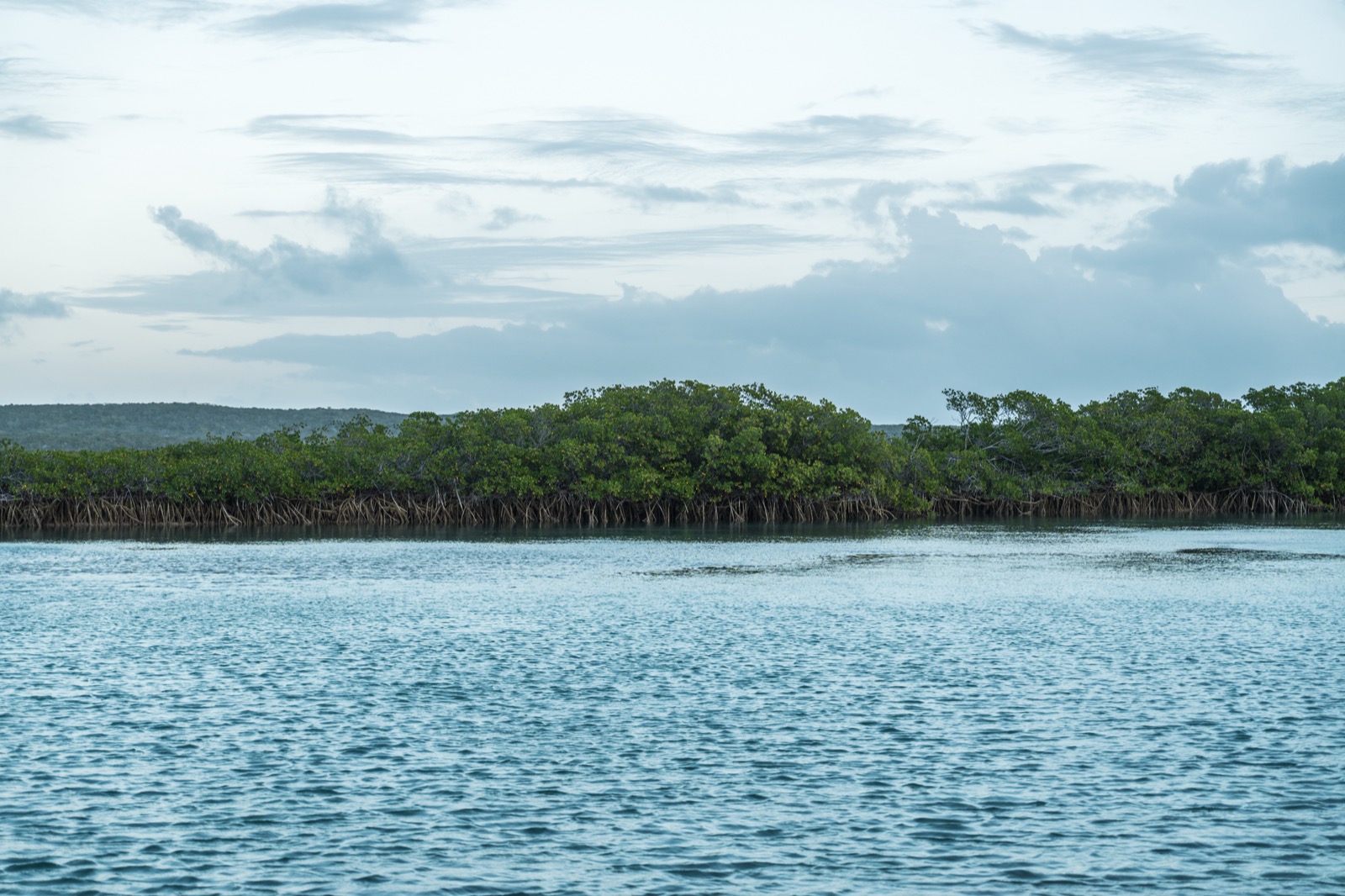 Exuma Lodge